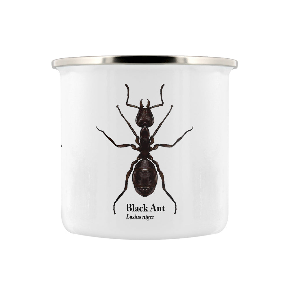 Insect Trio Enamel Mug