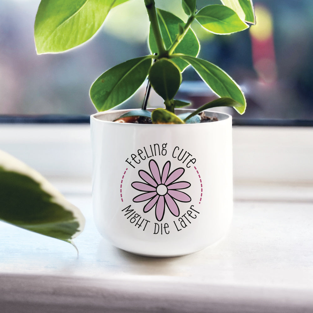 Feeling Cute Might Die Later Plant Pot