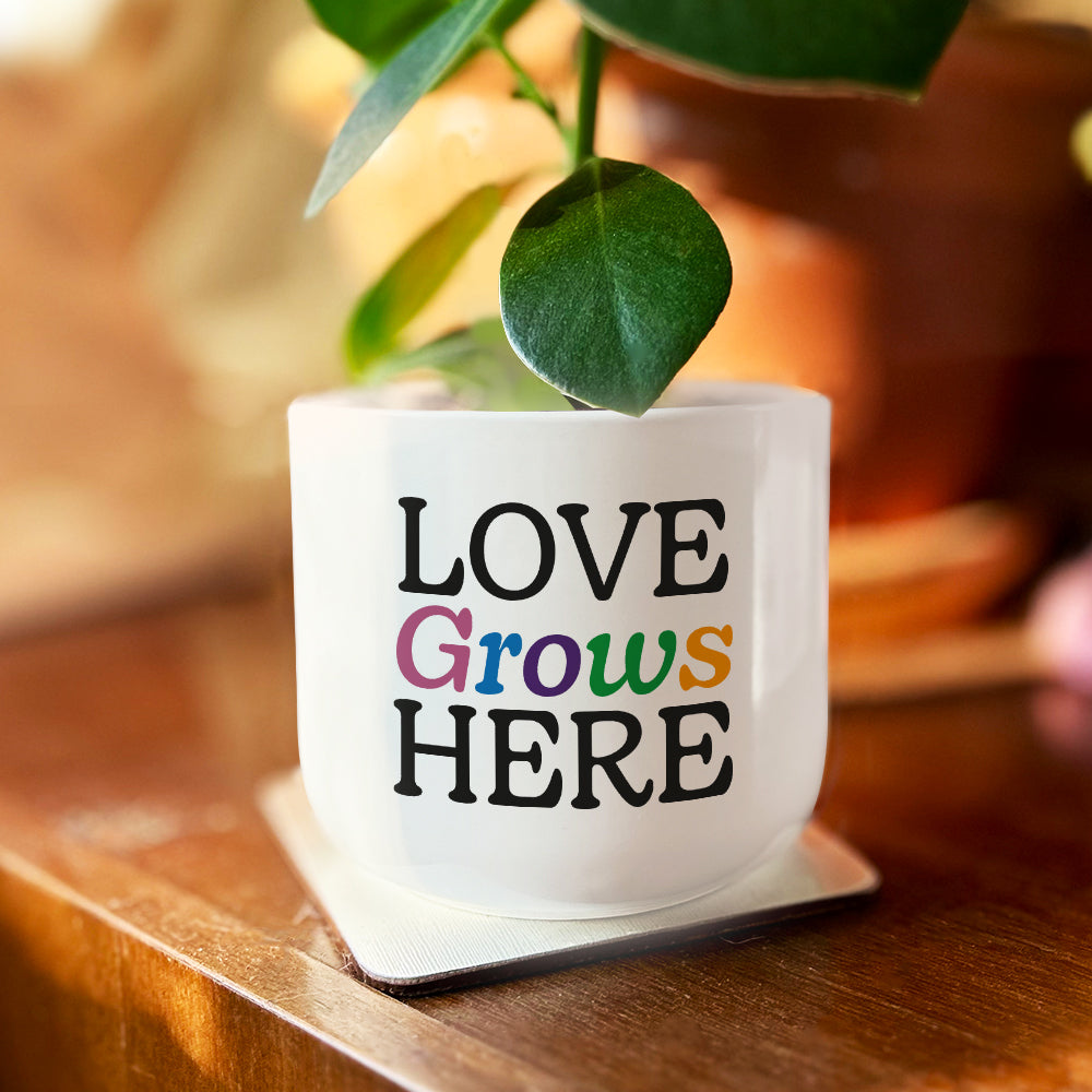 Love Grows Here Plant Pot