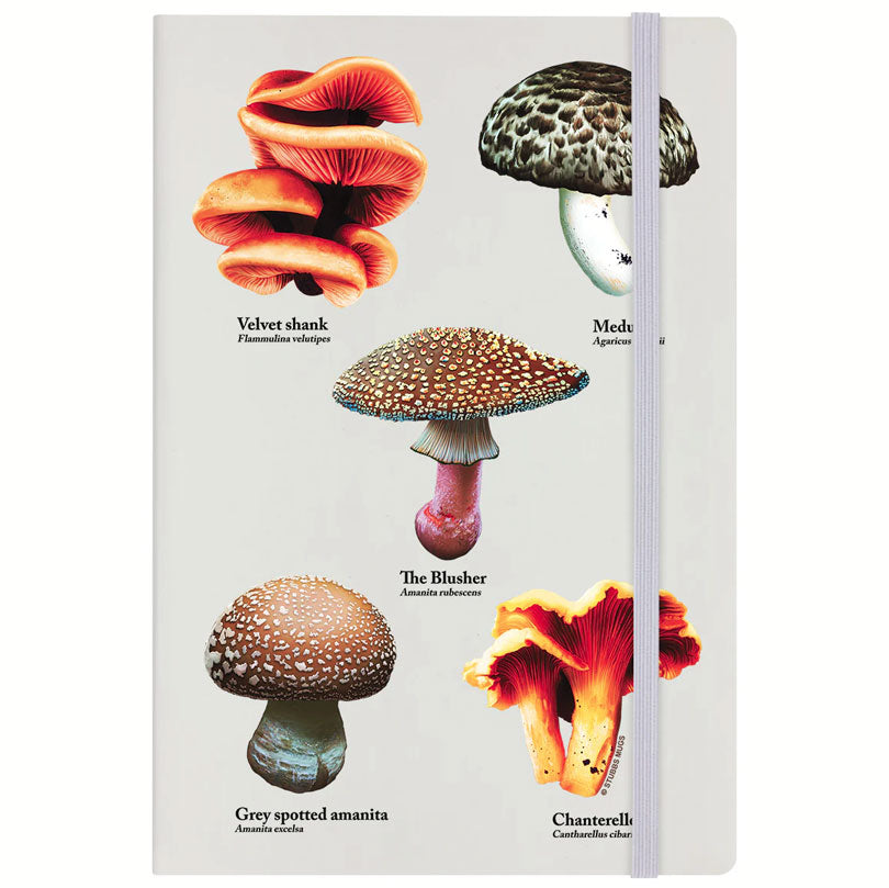 A Sproutness Of Mushrooms Cream A5 Hard Cover Notebook