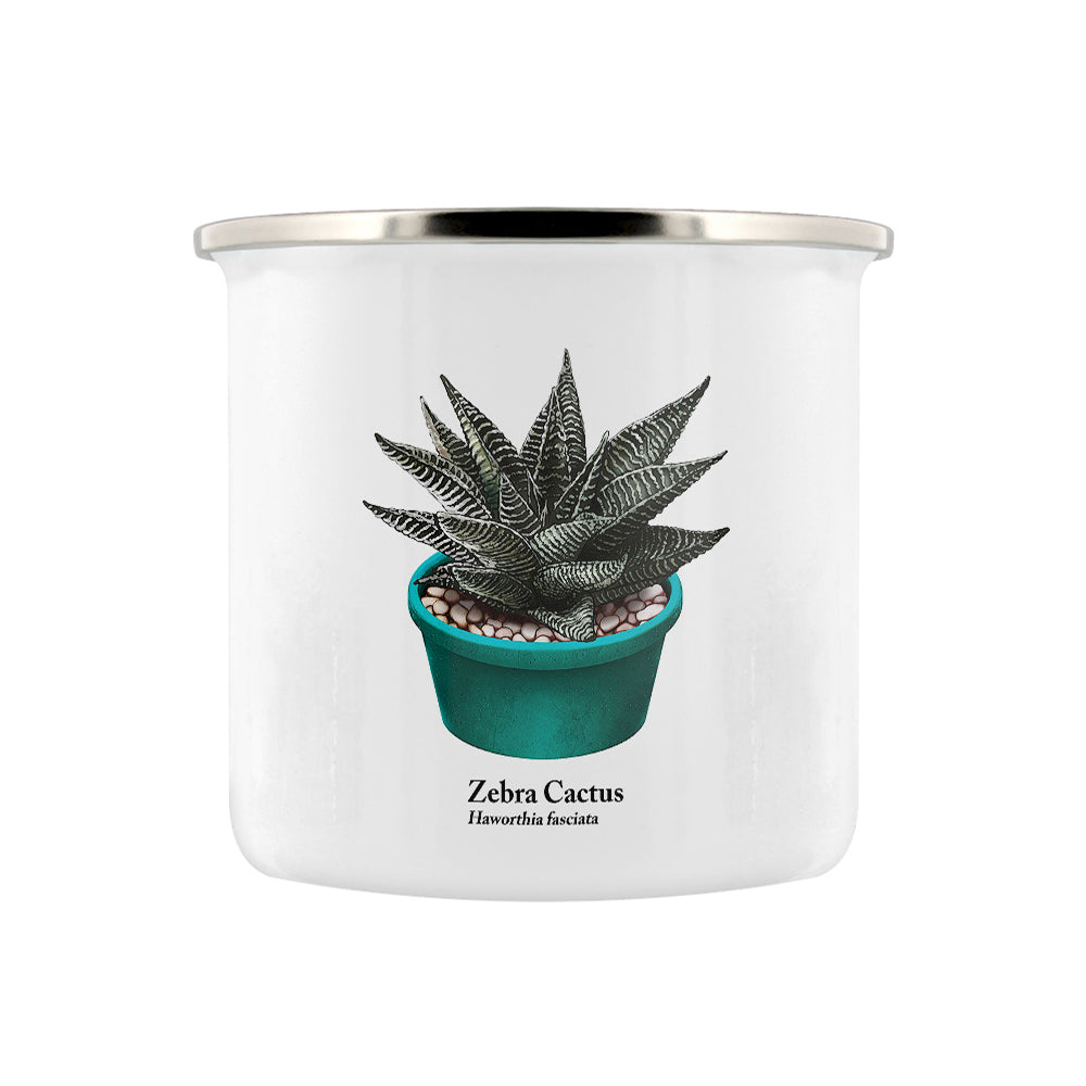 Cacti Trio Enamel Mug