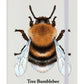 Tree Bumblebee Cream A5 Hard Cover Notebook