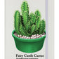 Fairy Castle Cactus Cream A5 Hard Cover Notebook