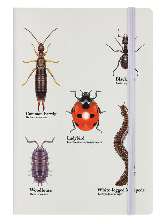 A Rabble Of Insects Cream A5 Hard Cover Notebook