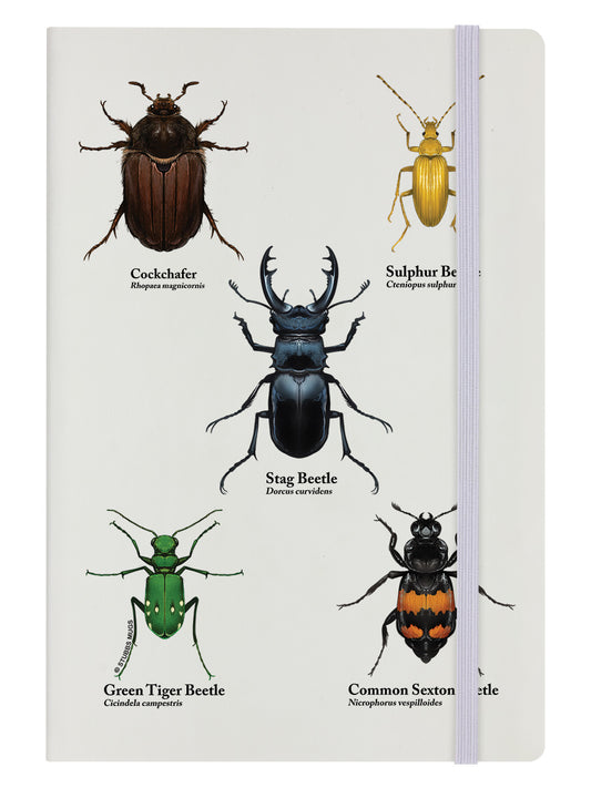A Colony Of Beetles Cream A5 Hard Cover Notebook