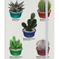A Spike Of Cacti Cream A5 Hard Cover Notebook