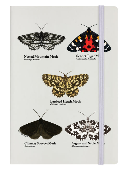 An Eclipse Of Moths Cream A5 Hard Cover Notebook