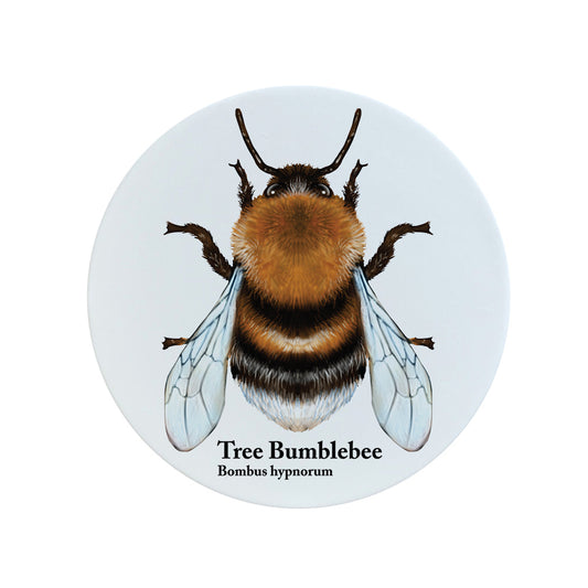 Nature's Delights Tree Bumblebee Ceramic Coaster