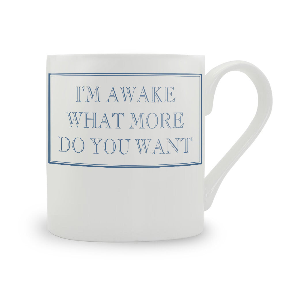I'm Awake, What More Do You Want? Mug