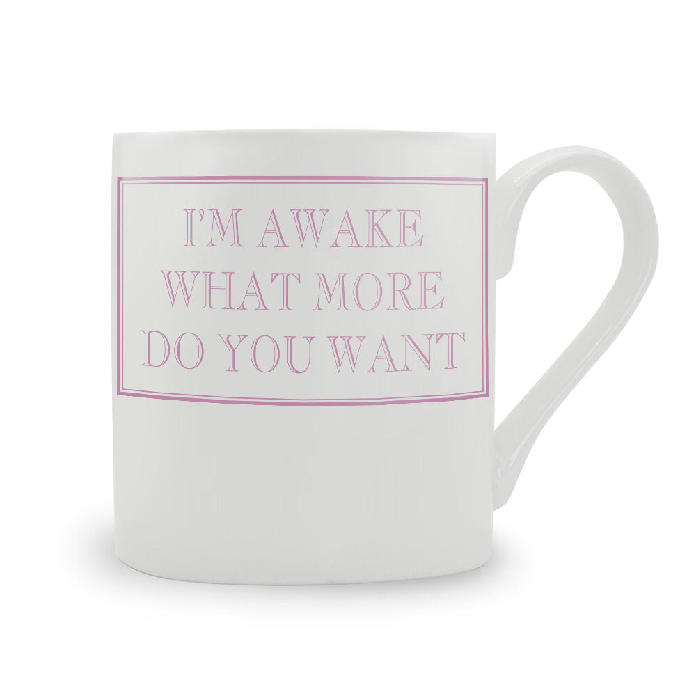 I'm Awake, What More Do You Want? Mug