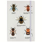 A Swarm Of Bees Cream A5 Hard Cover Notebook