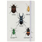 A Colony Of Beetles Cream A5 Hard Cover Notebook