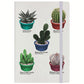 A Spike Of Cacti Cream A5 Hard Cover Notebook