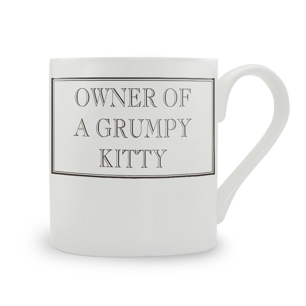 Owner Of A Grumpy Kitty Mug