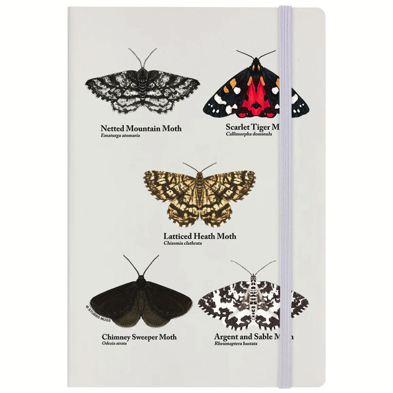 An Eclipse Of Moths Cream A5 Hard Cover Notebook